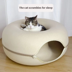 Cat House
