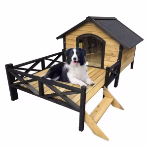 Dog House
