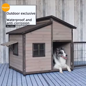 Dog House