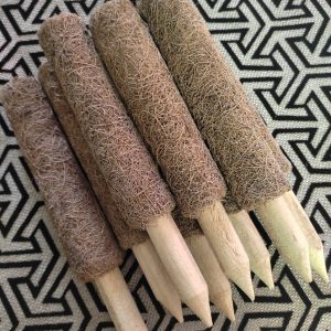 Coco Pole For Plants